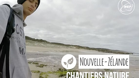 (vidéo) Chantiers nature en Nouvèlle-Zelande