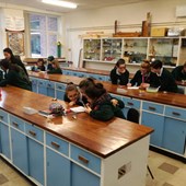 Schoolprogramma - Engels - Ierland