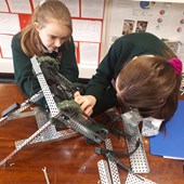Schoolprogramma - Engels - Ierland
