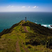 Schoolprogramma - Engels - Nieuw-Zeeland - Bay of Plenty - Mt Maunganui College