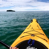 Schoolprogramma - Engels - Nieuw-Zeeland - Bay of Plenty - Mt Maunganui College