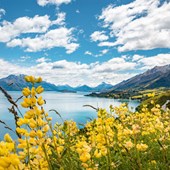 Schoolprogramma - Engels - Nieuw-Zeeland - Queenstown - Wakatipu HS