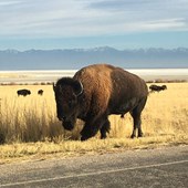 Schoolprogramma - Engels - USA - Colorado - Boulder Valley