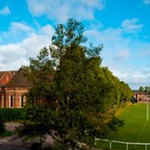 Cours de langue - Anglais - Angleterre - Nottingham - Junior