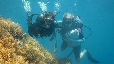 Investissez-vous pour la protection de la faune et de la flore marine avec nos projets de protection du milieu marin ! Découvrez une autre langue, une autre culture et rendez-vous utile au sein d'une équipe de volontaires du monde entier, désireux comme vous d'apporter une contribution concrète à la protection de l'environnement marin. 