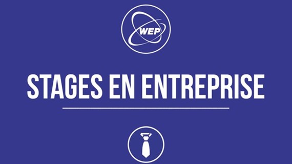 (vidéo) Stage en entreprise 
