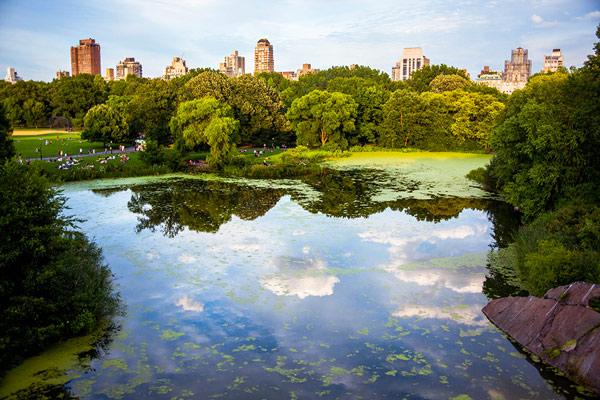 New York - Central Park 