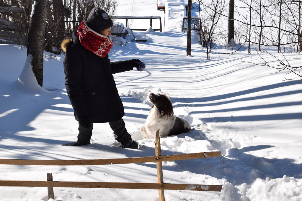 Ester in Canada
