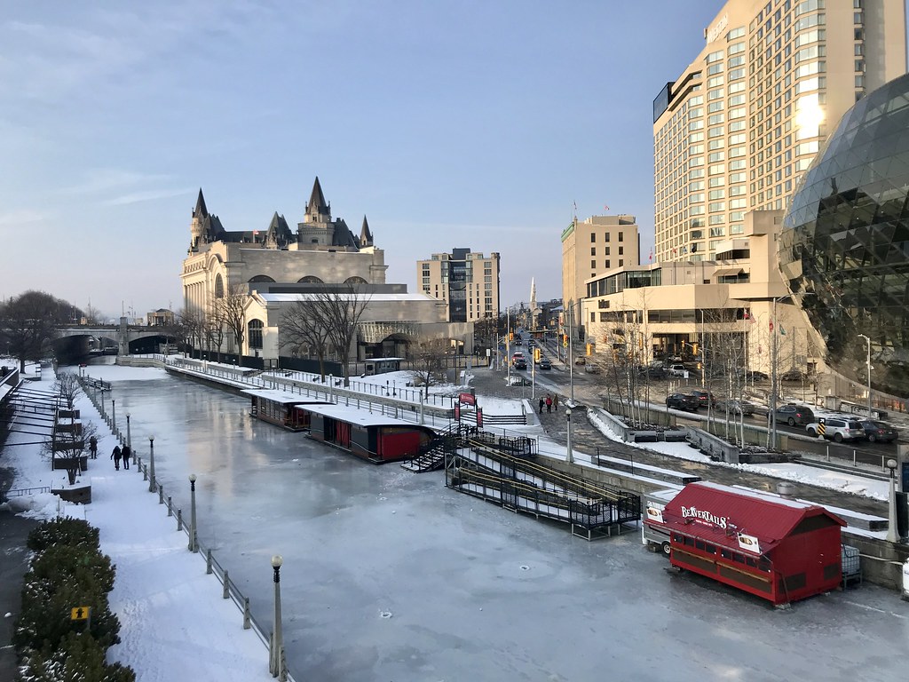 Ysaline in Canada