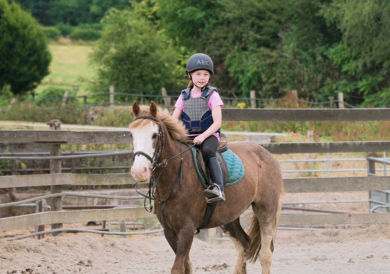 Verblijf in een gezin & Summer Camp – Pony – Engels – Ierland