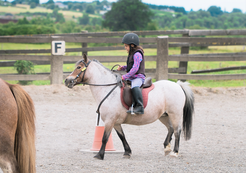 Verblijf in een gezin & Summer Camp – Pony – Engels – Ierland
