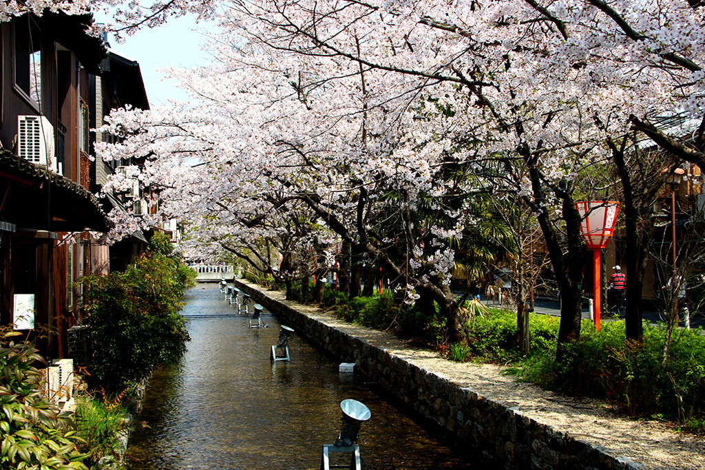 Cours de langue - Japonais - Japon - Kyoto