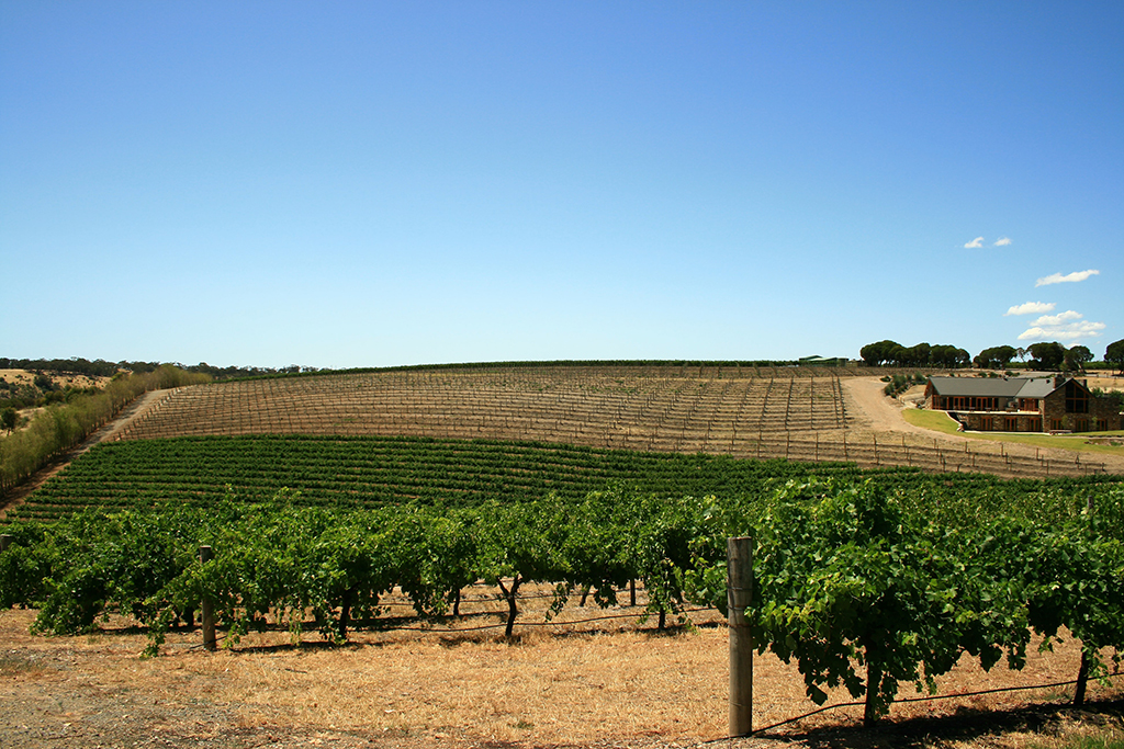 Programme scolaire - Anglais - Australie - South Australia Regional