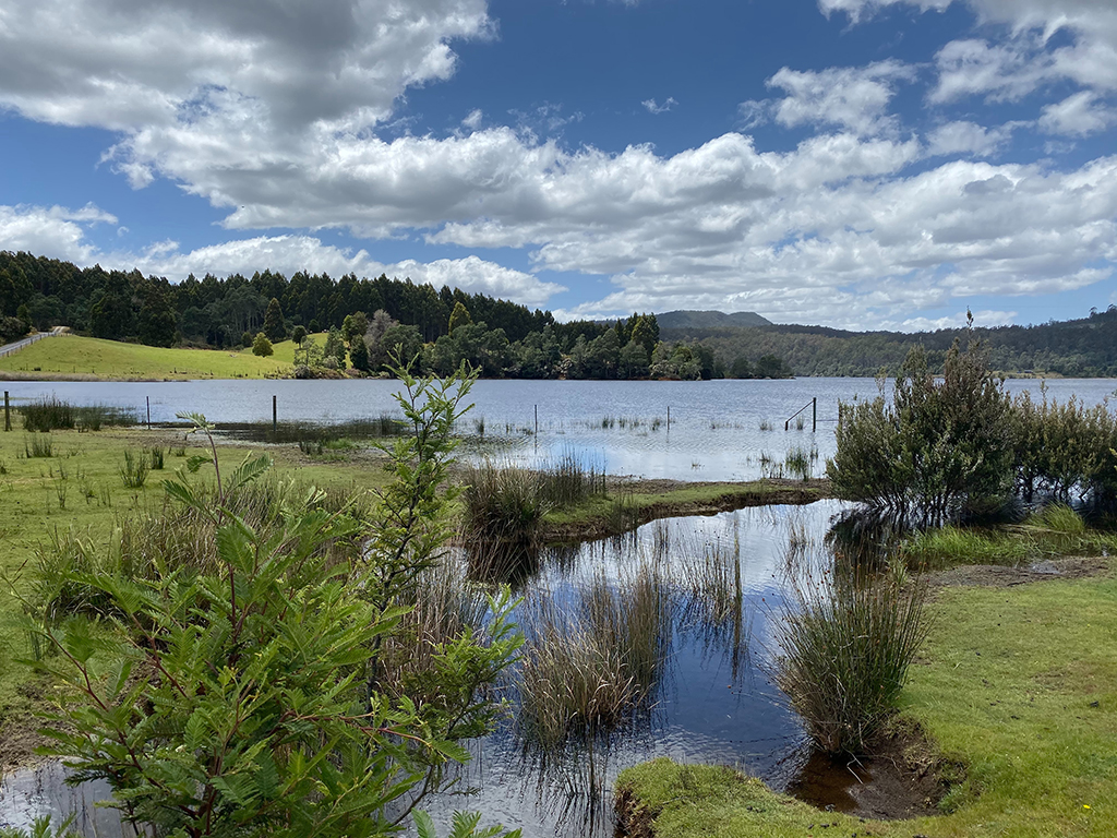 Schoolprogramma - Engels - Australië - Tasmania