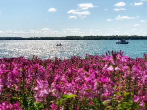 Schoolprogramma - Engels - Canada - Ontario - Simcoe Lake