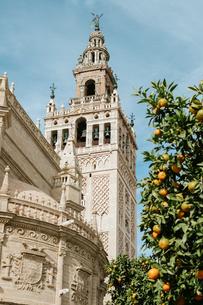Schoolprogramma - Spaans - Spanje - Sevilla