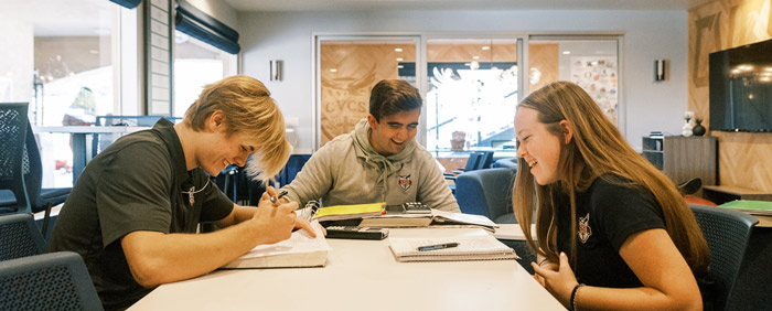 Schoolprogramma - Engels - USA - Californië - Capistrano Valley CHS