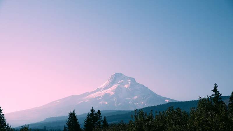 Schoolprogramma - Engels - USA - Oregon - Portland