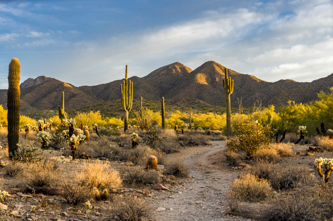 Schoolprogramma - Engels - USA - Arizona - Scottsdale USD