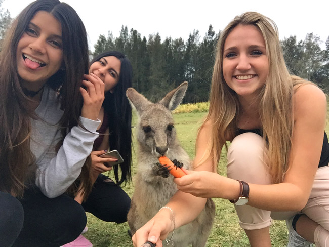 Taalreis - Engels - Australië - Sydney - Lexis