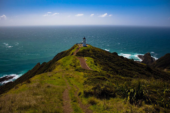 Programme scolaire - Anglais - Nouvelle-Zélande -Bay of Plenty - Mt Maunganui College