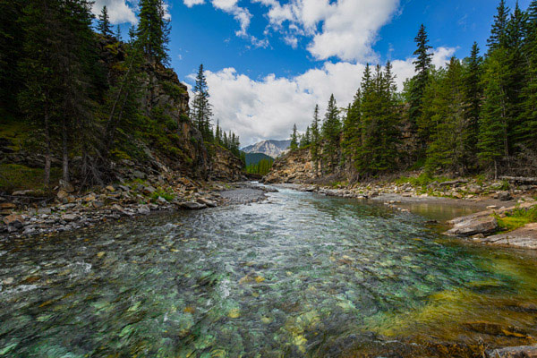 Schoolprogramma - Engels - Canada - Alberta - Livingstone Range