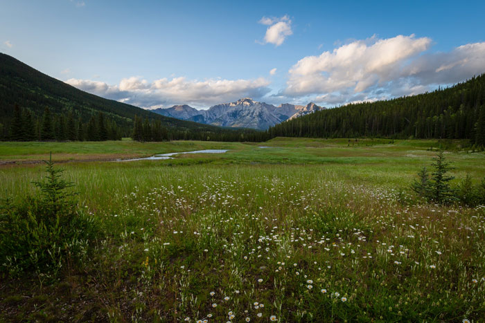 Schoolprogramma - Engels - Canada - Alberta - Livingstone Range