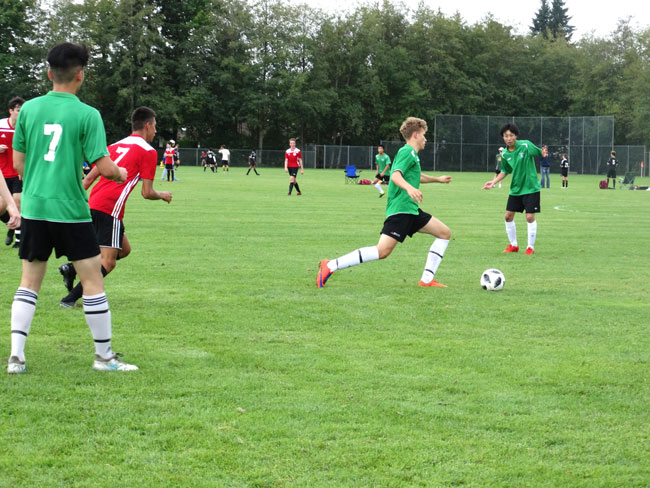 Schoolprogramma - Engels - Canada - Vancouver Island - Campbell River