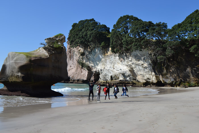 Programme scolaire - anglais - Nouvelle-Zélande - Mercury Bay Area School