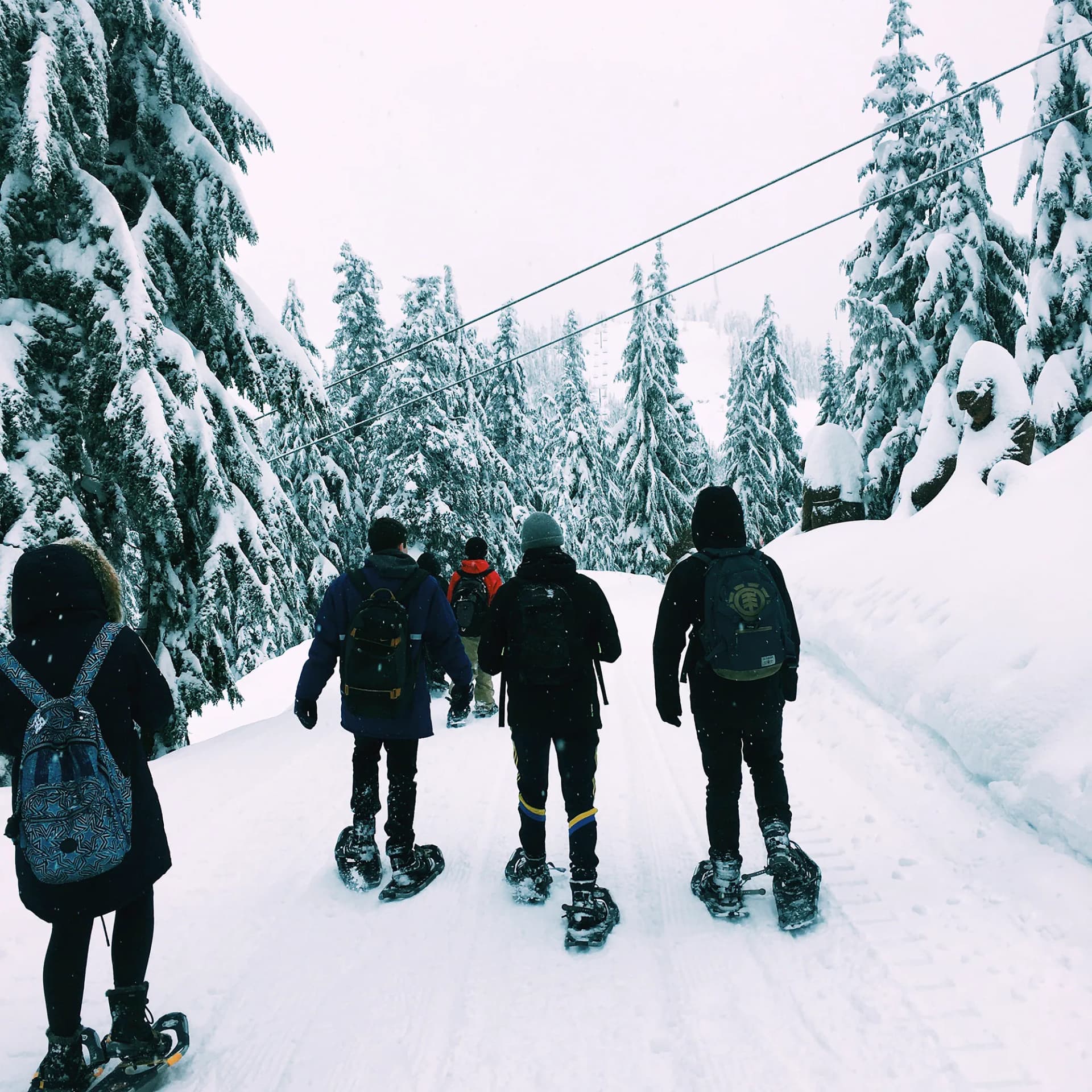 Quatre jeunes explorent une forêt enneigée en raquettes lors de leur année scolaire au Canada